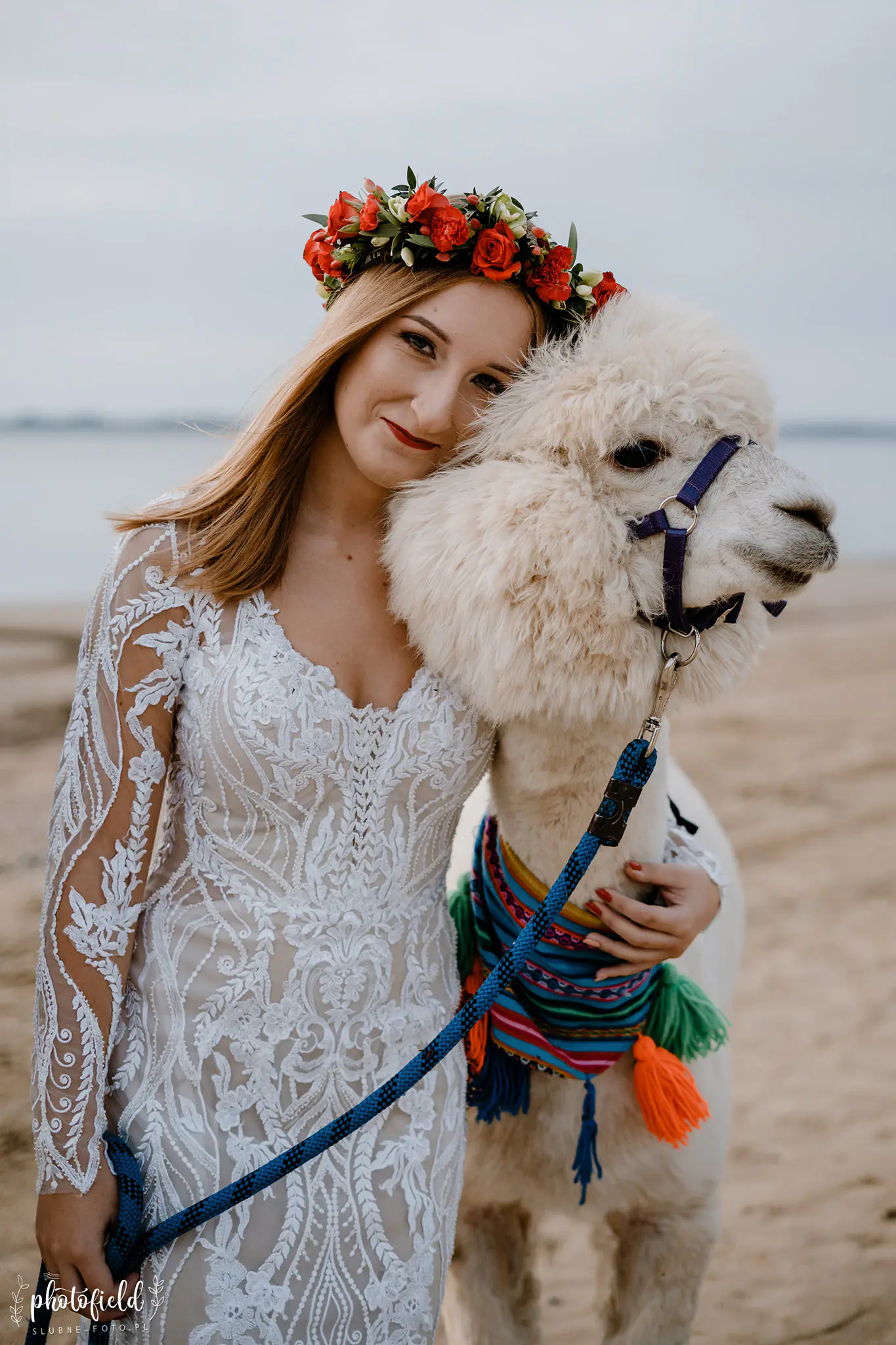 Sesja ślubna z alpakami