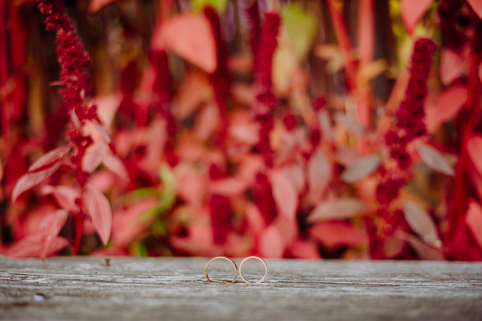 Sesja ślubna fotograf Warszawa