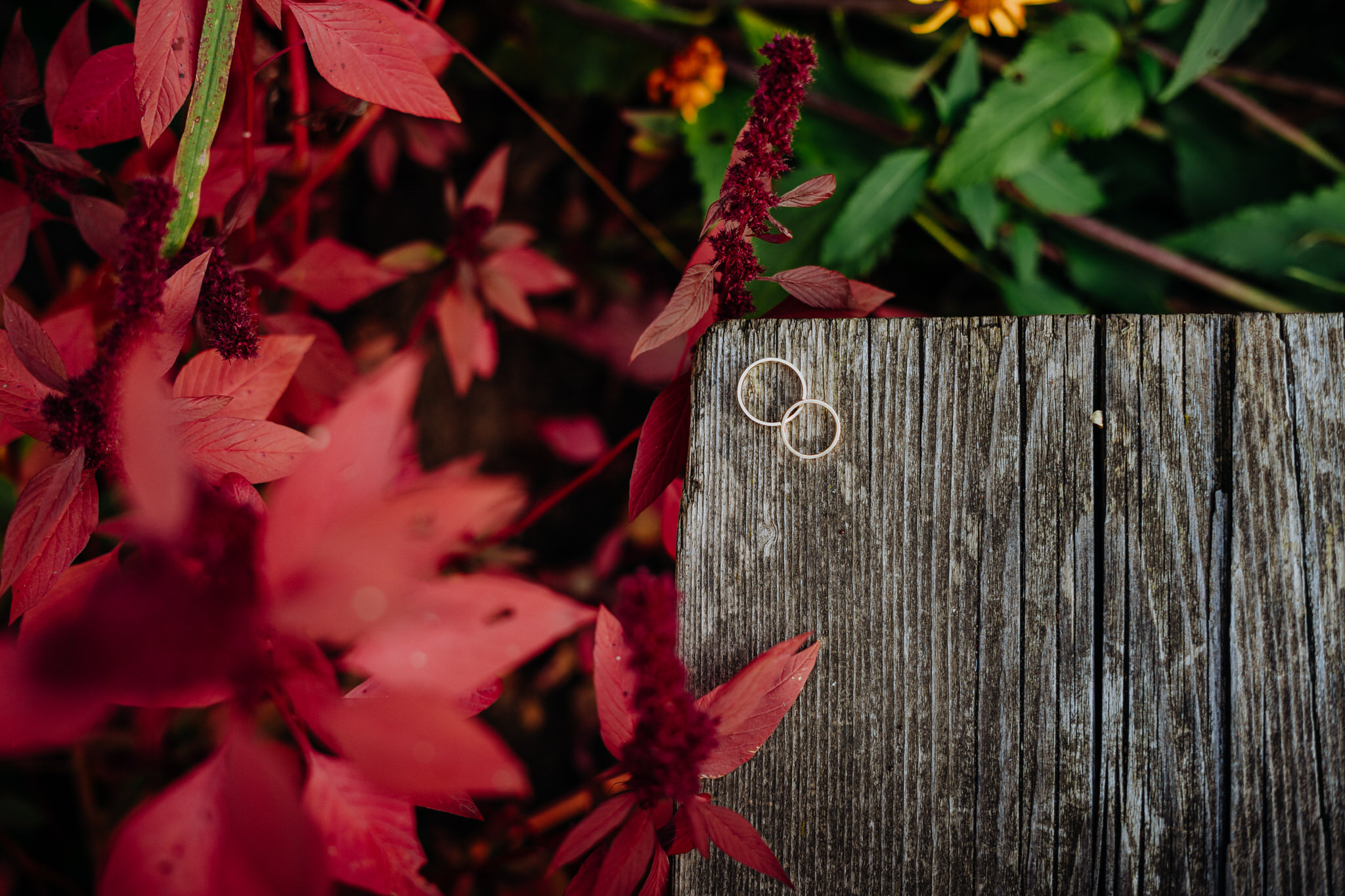 Sesja ślubna fotograf Warszawa