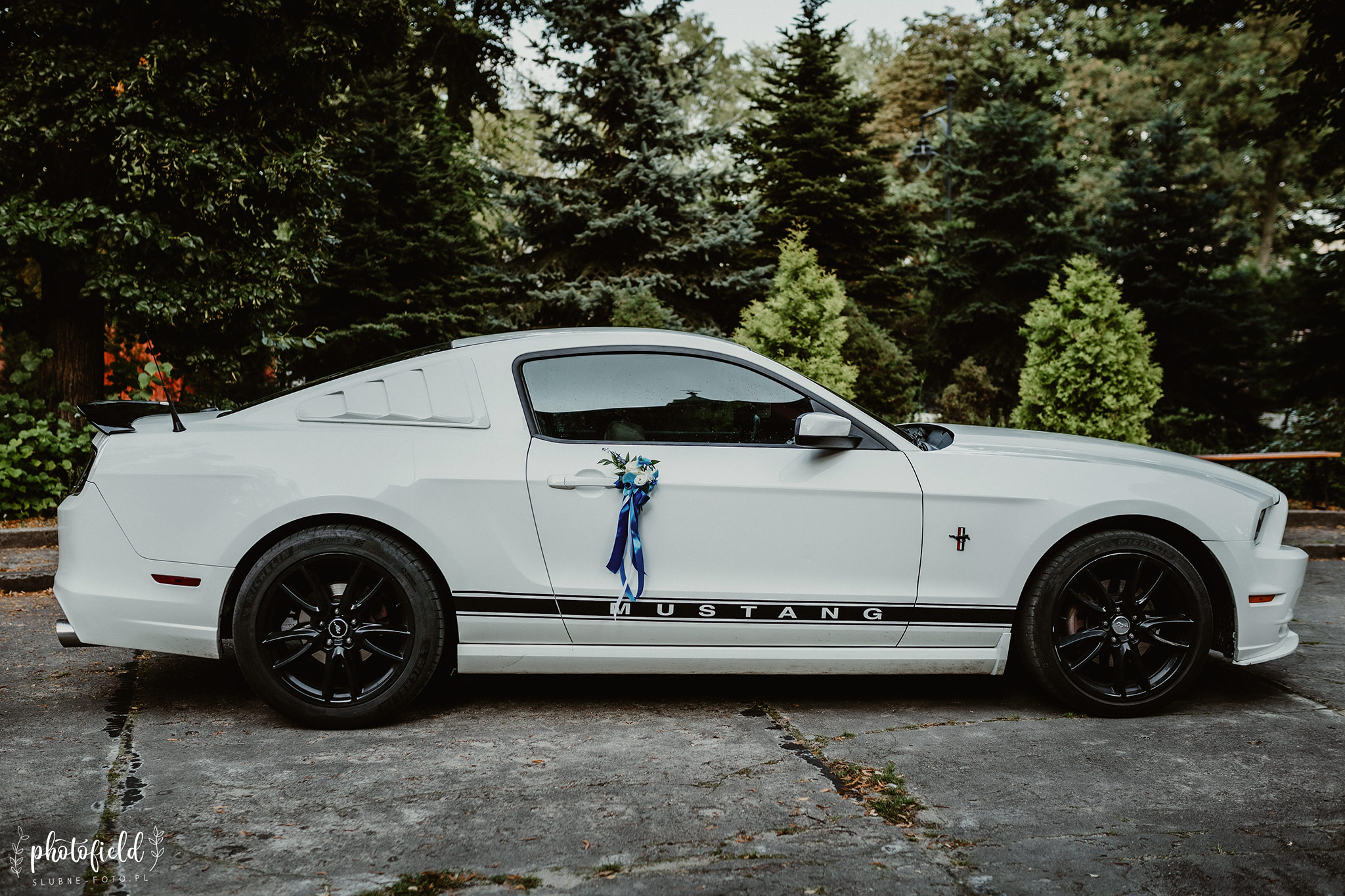 Fotograf ślubny Piotrków Trybunalski