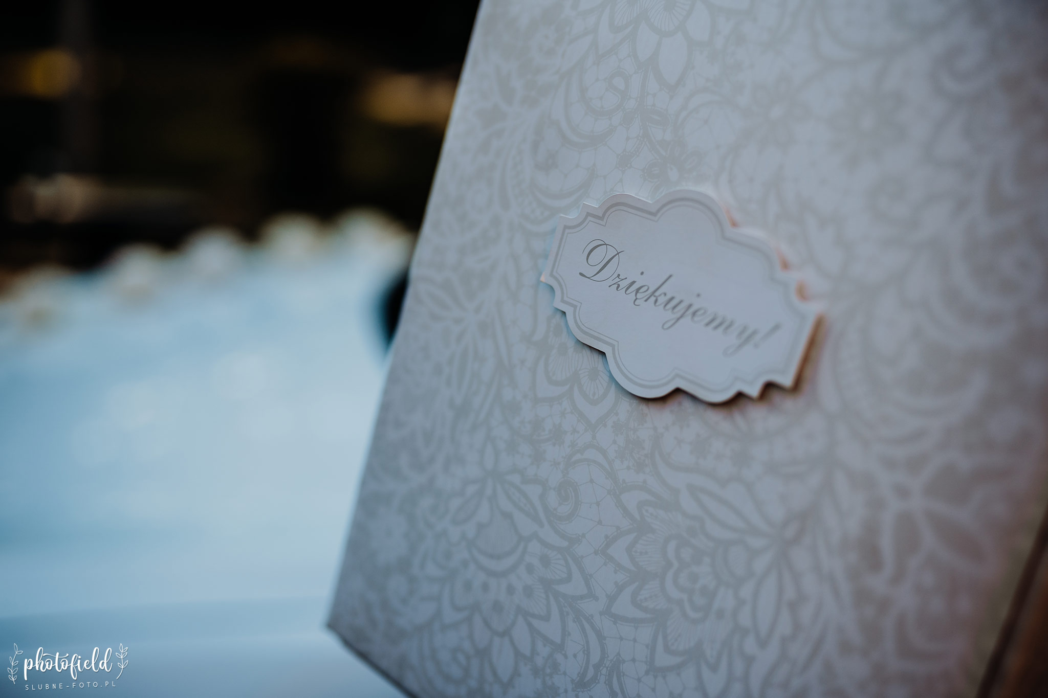 Fotografia ślubna Pabianice Zgierz Aleksandrów